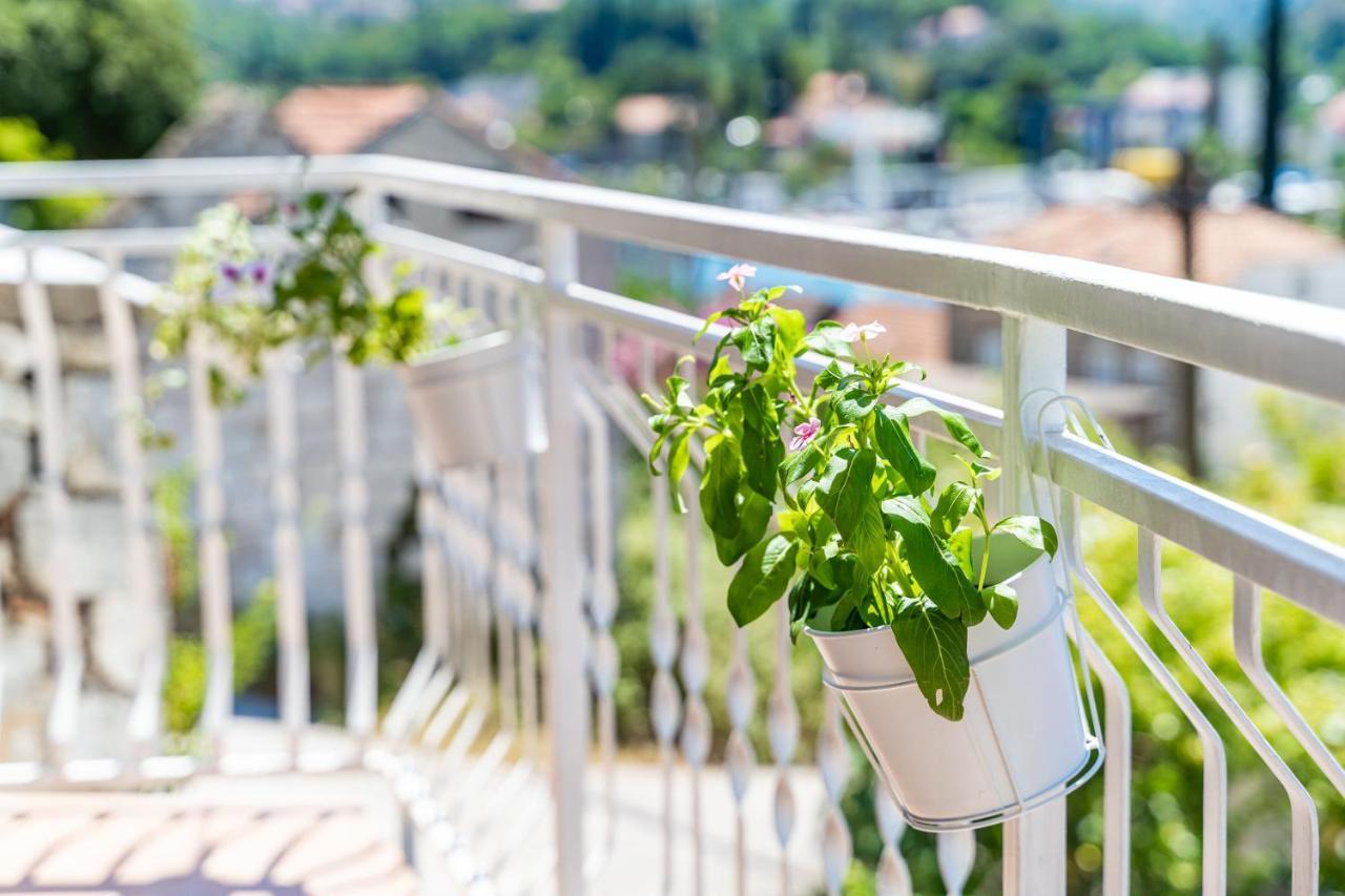 House Of Artichoke With Amazing Sea View, Dubrovnik Apartment Mokosica